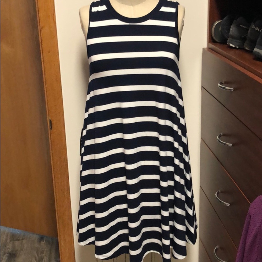 The Limited navy/white swing dress-small-NWT